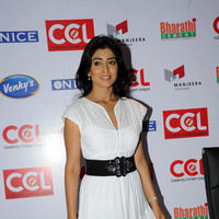 Shriya Saran new pictures | Picture 47210